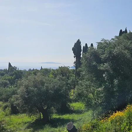 Lejlighed Sylvia's Sweet *